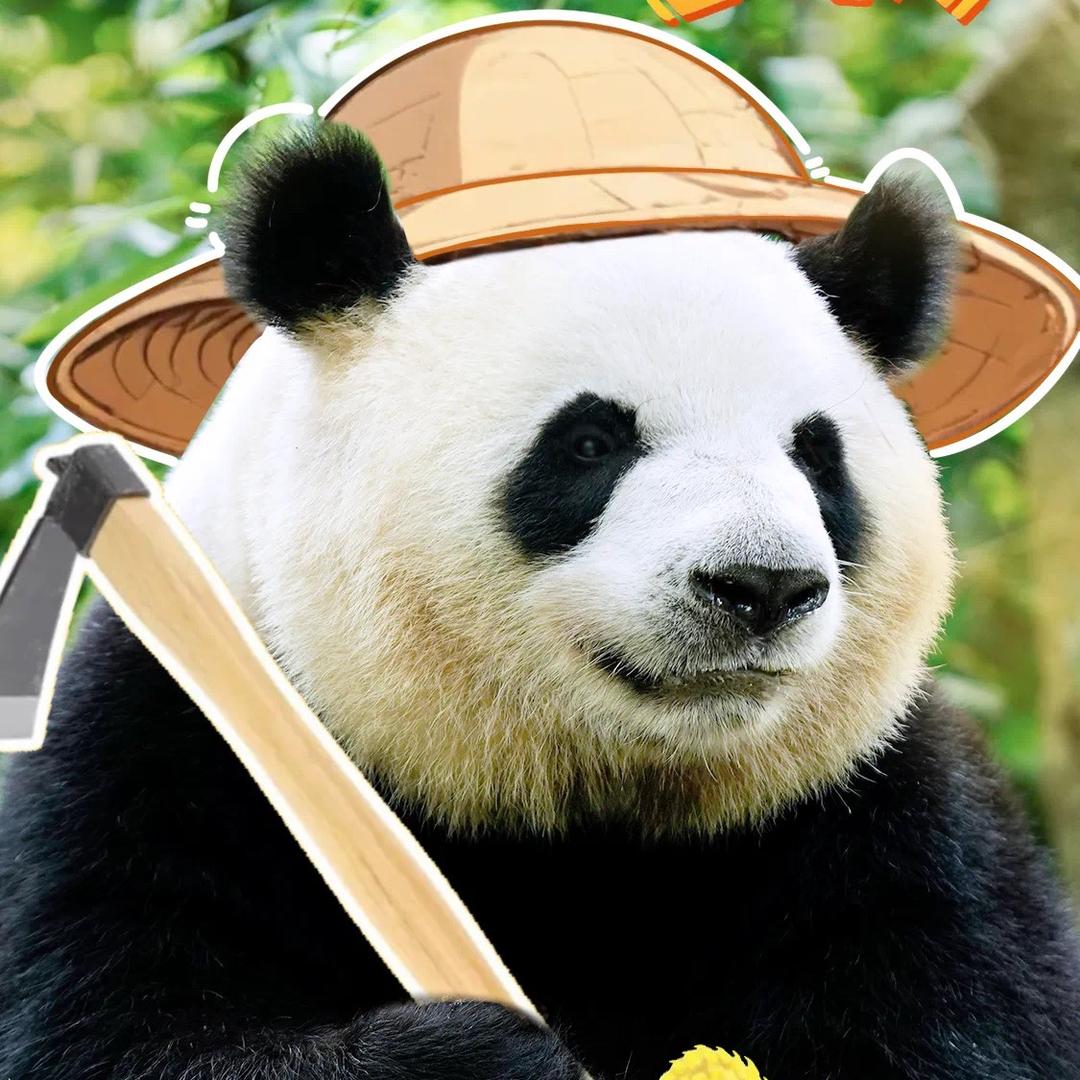 无法无二（塔罗）