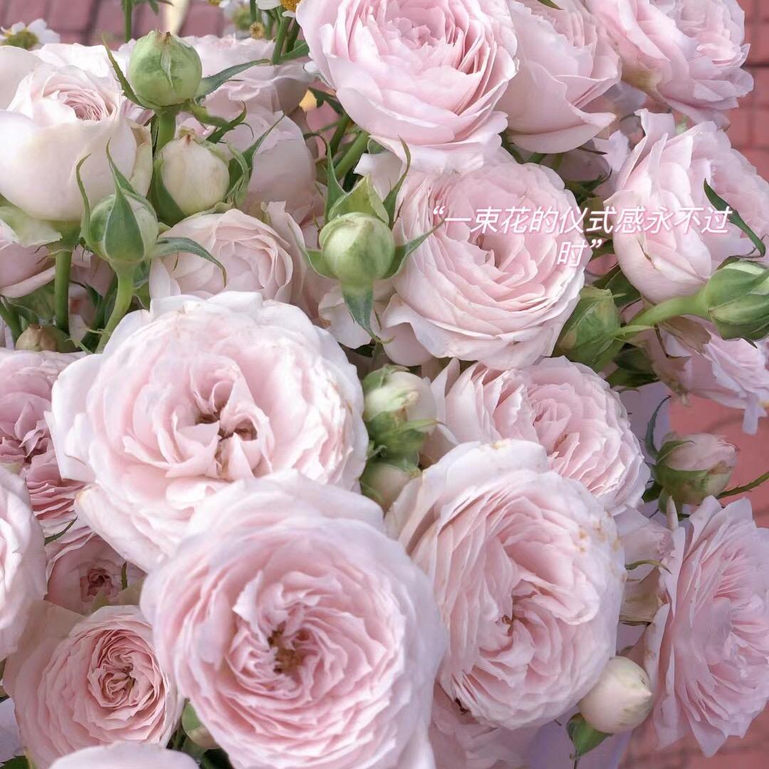 兰山区祥苑百货经营部