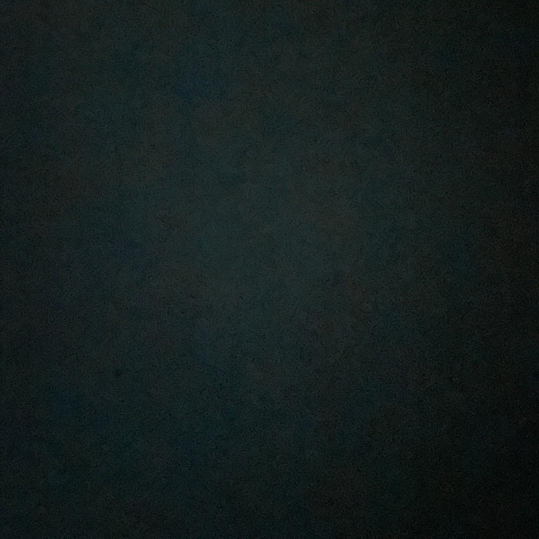 L x