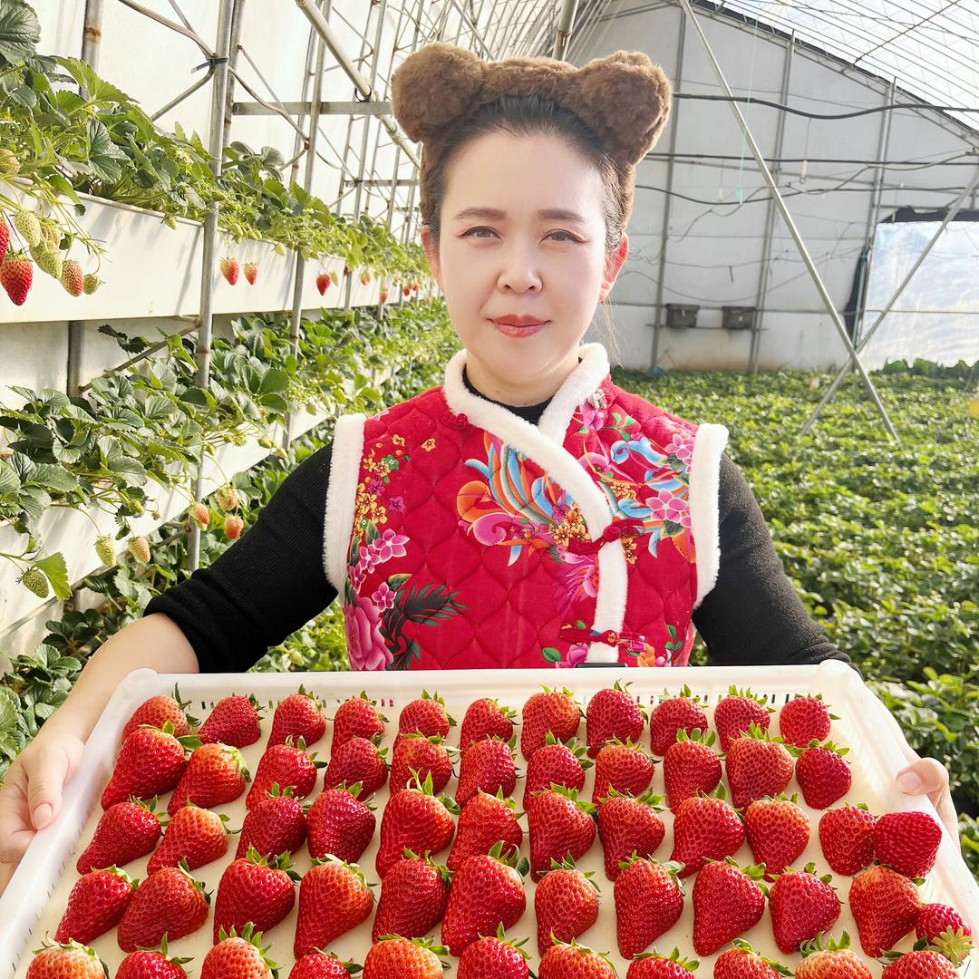 花姐农场
