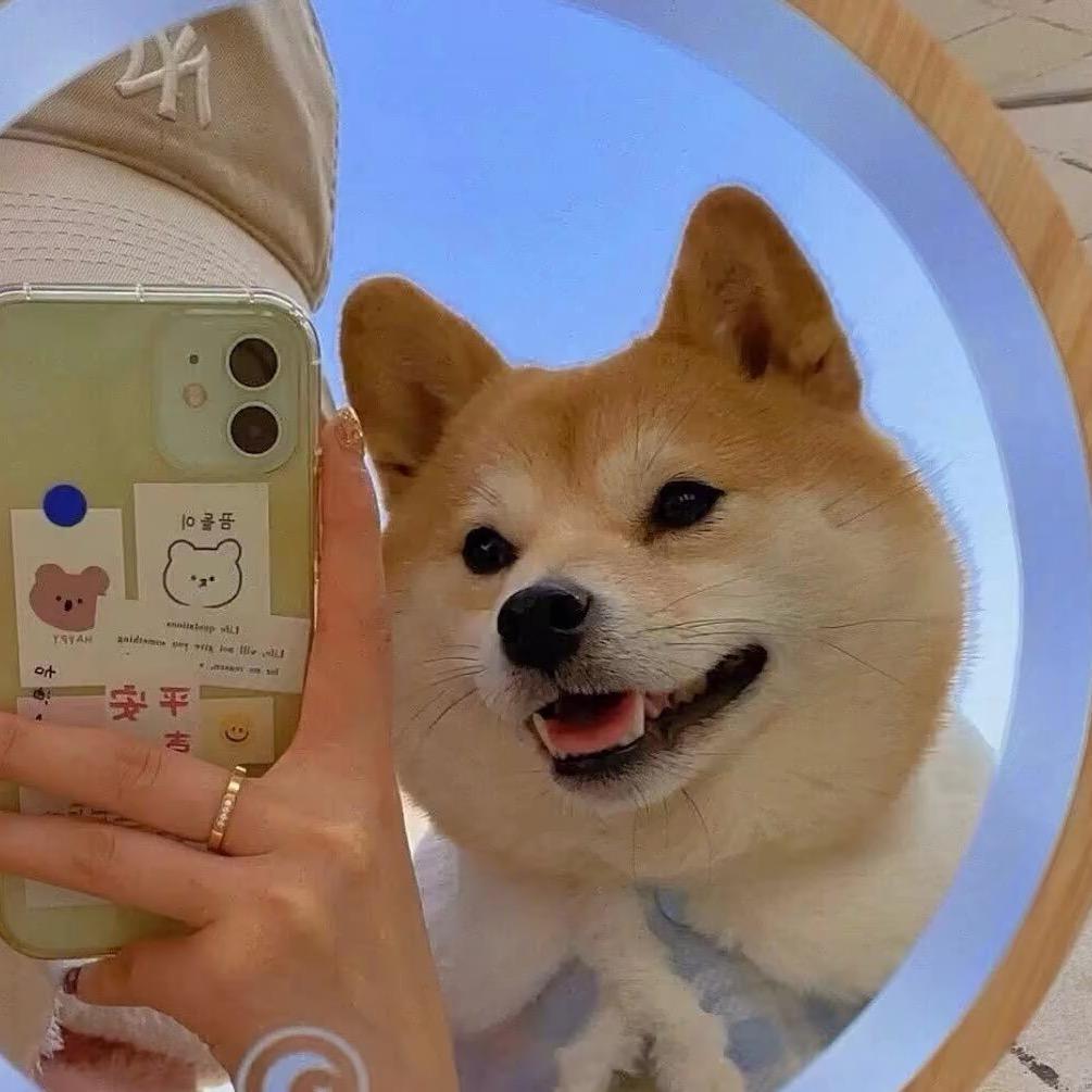 .Y