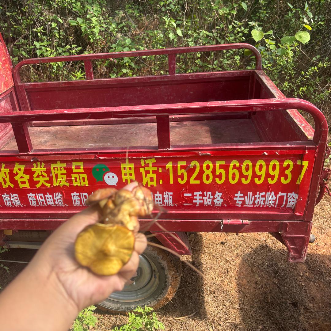 资源宝藏