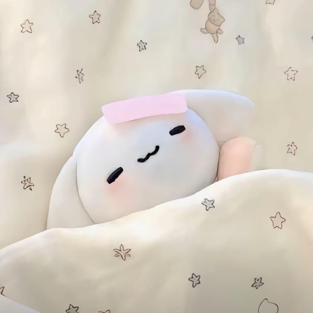 %*虾滑桂圆粥*！