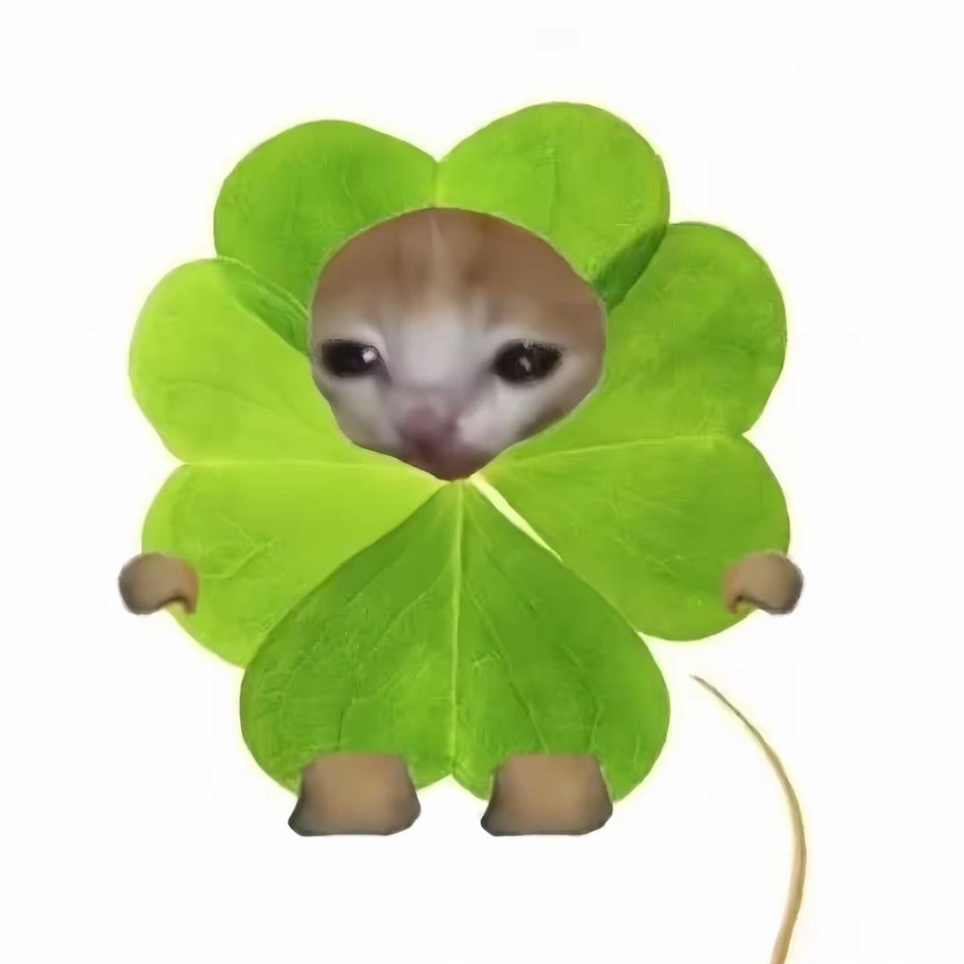 MW头像