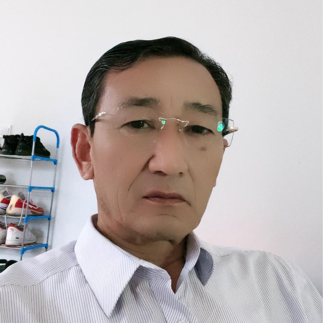 阳光与森林