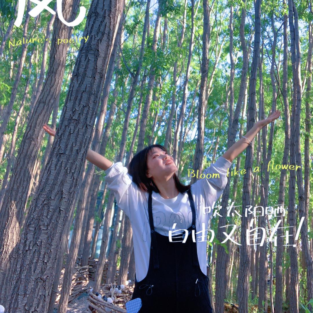 是媛媛吖💫
