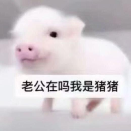 西咸新区沣东新城迈庆富迪百货店（个体工商户）