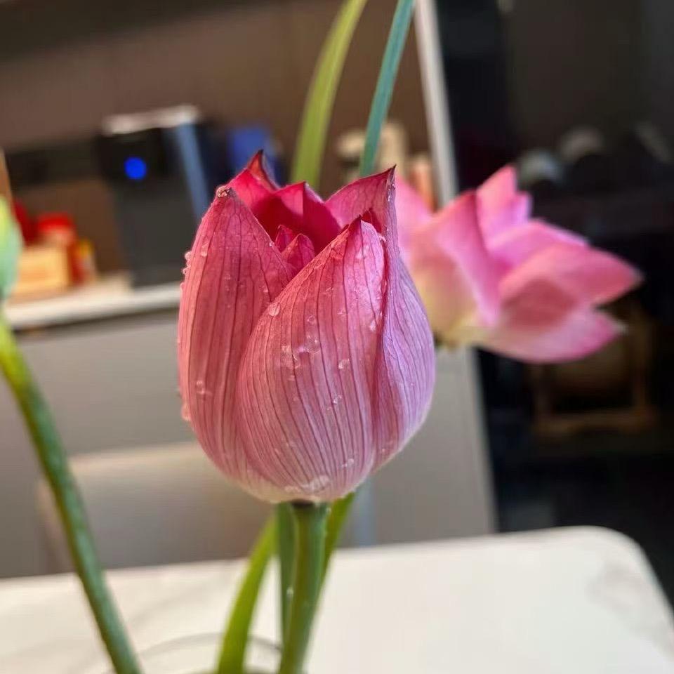 阳光笑容
