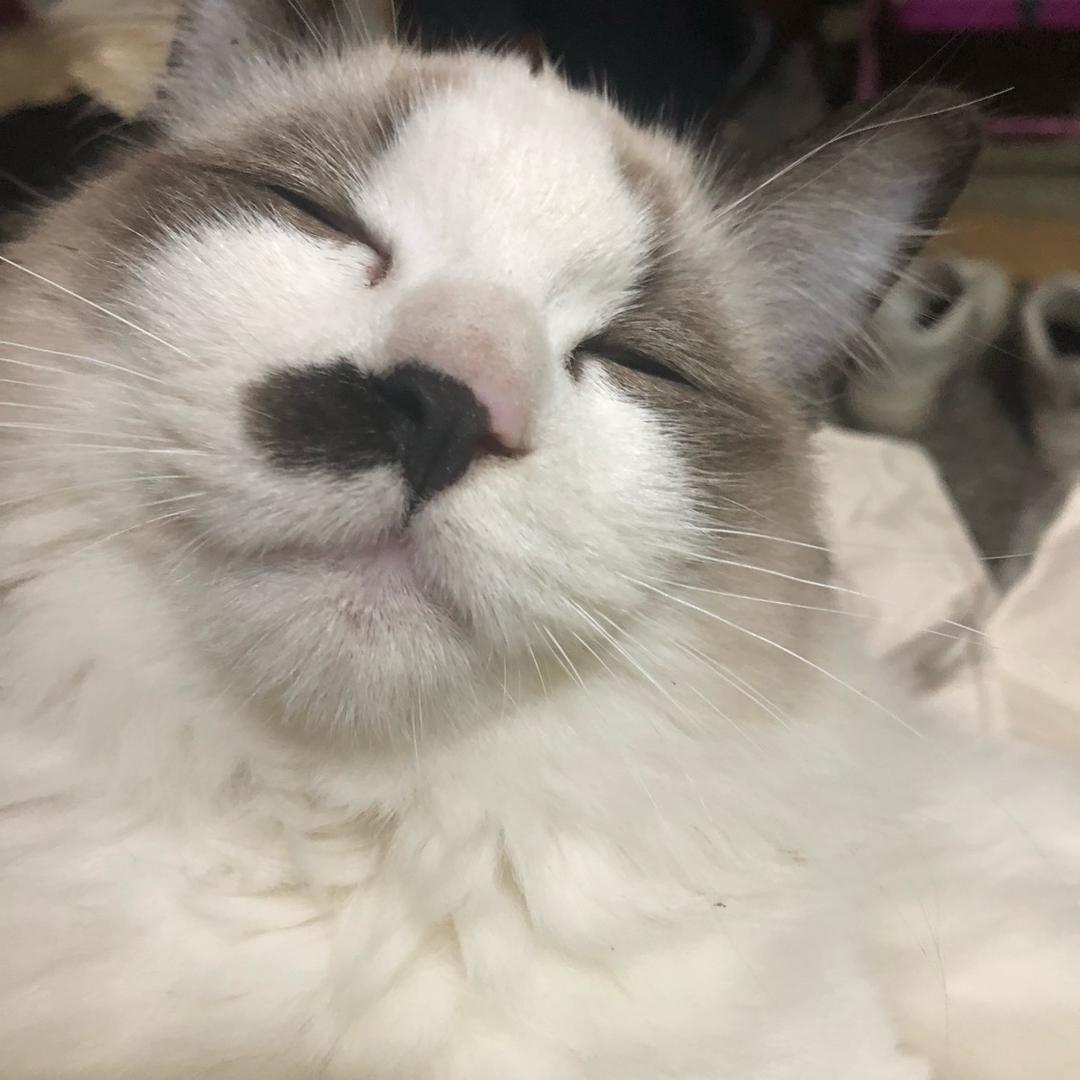 阿宅的日常分享