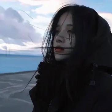 中单黑兔