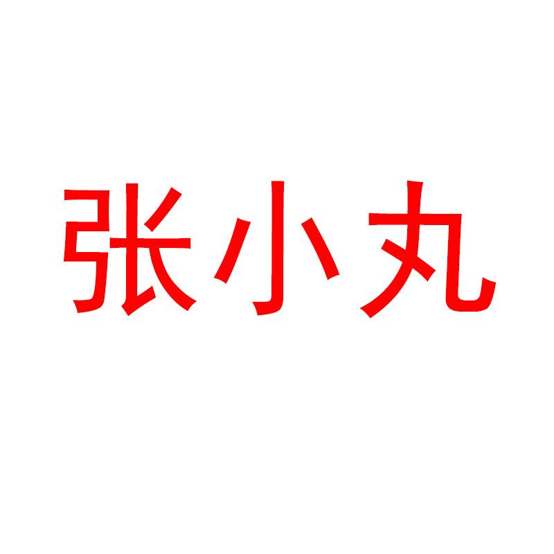 雄兴张小丸食品店