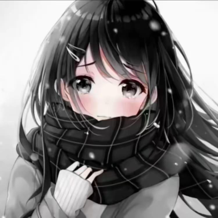 小迪宝
