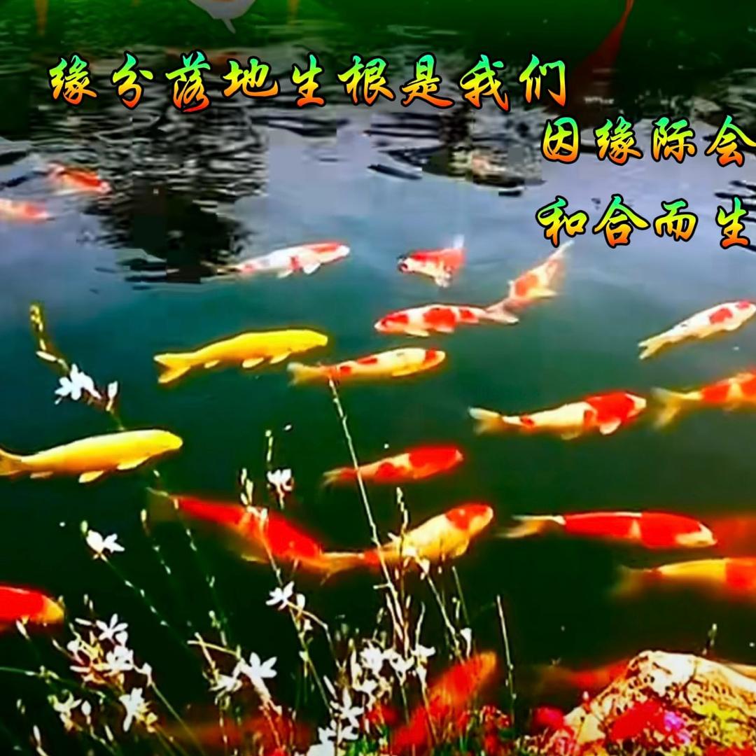 缘分落地生根是我们❤️