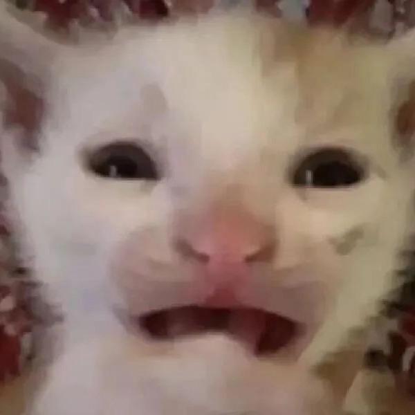 亦金