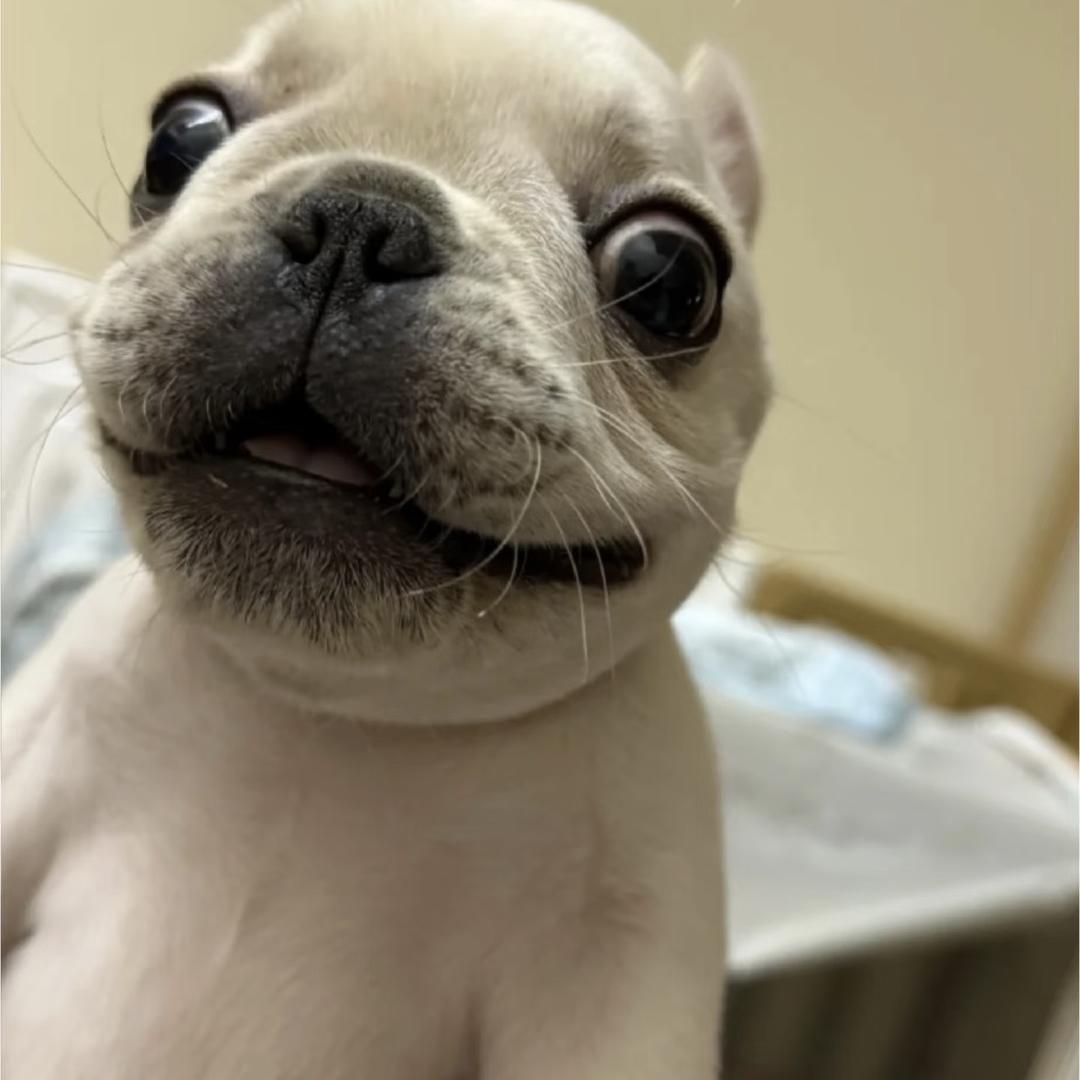 源晟网络(鸿图归来）