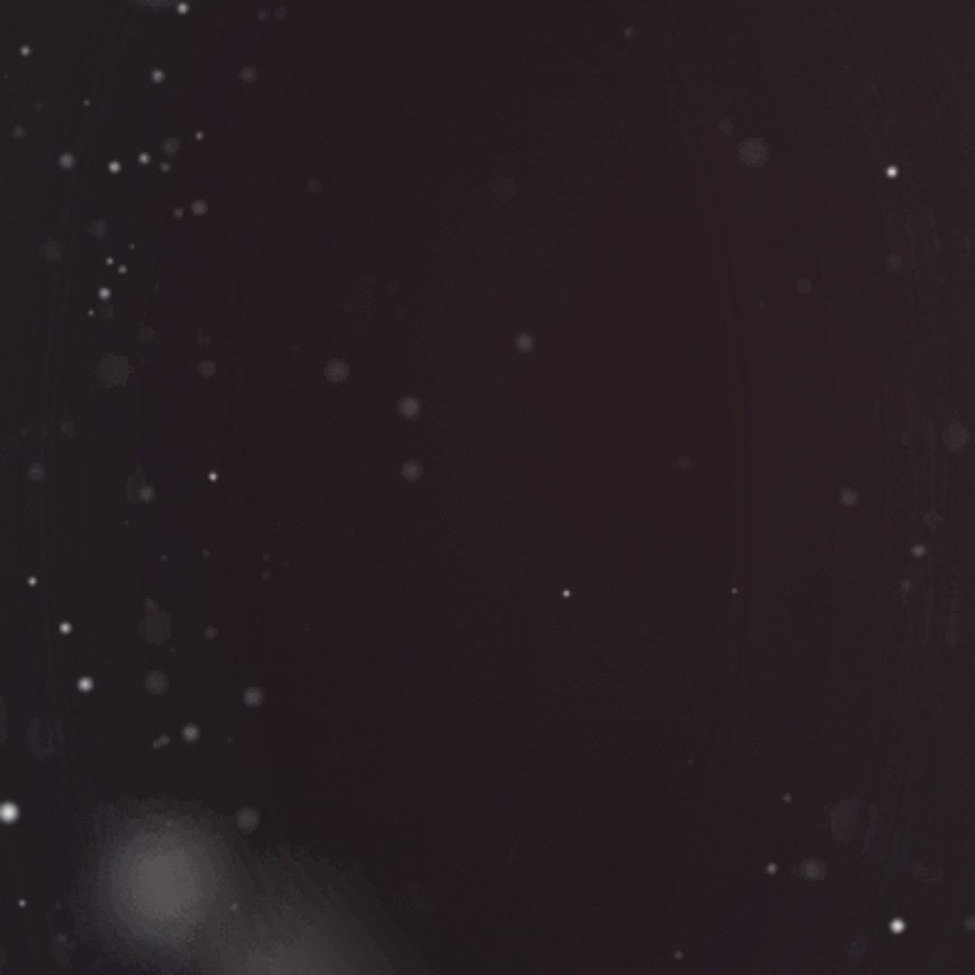 月月