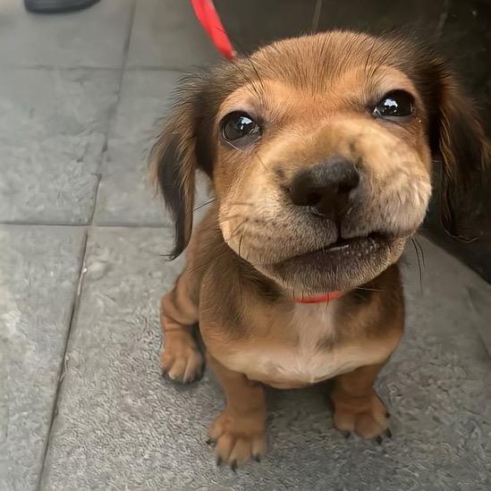 我也不太了解她