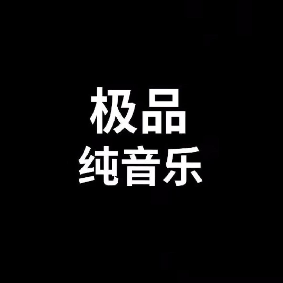 极品纯音乐（可够U盘）