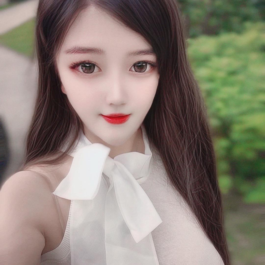 燕子🕊