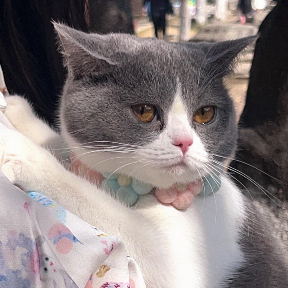 我要变强
