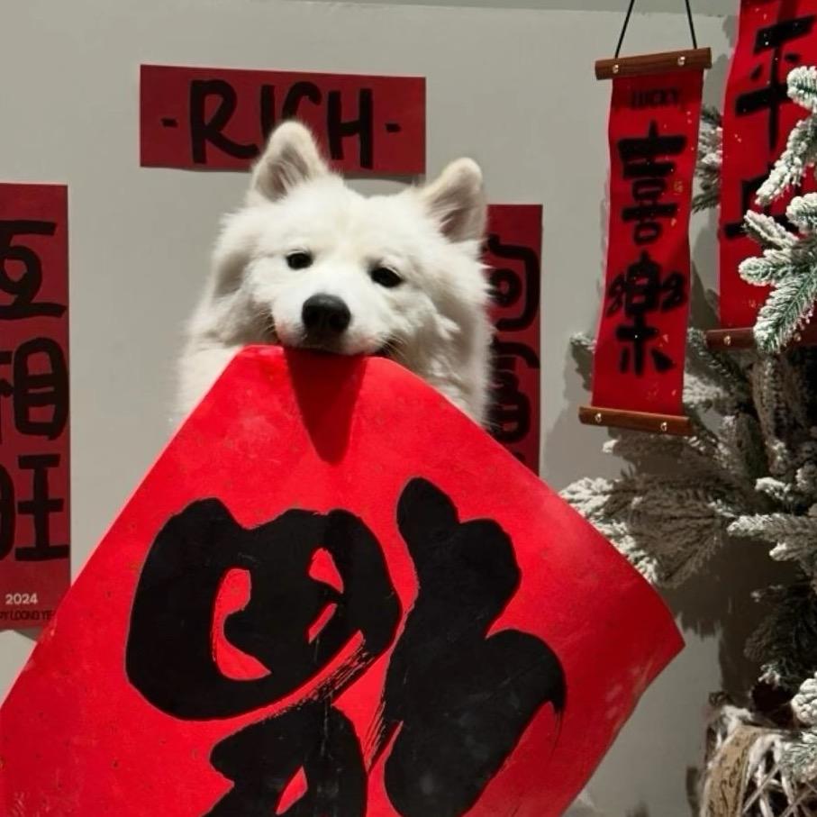 伸个懒腰