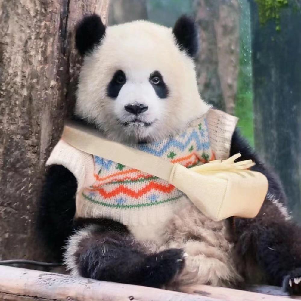 老周～