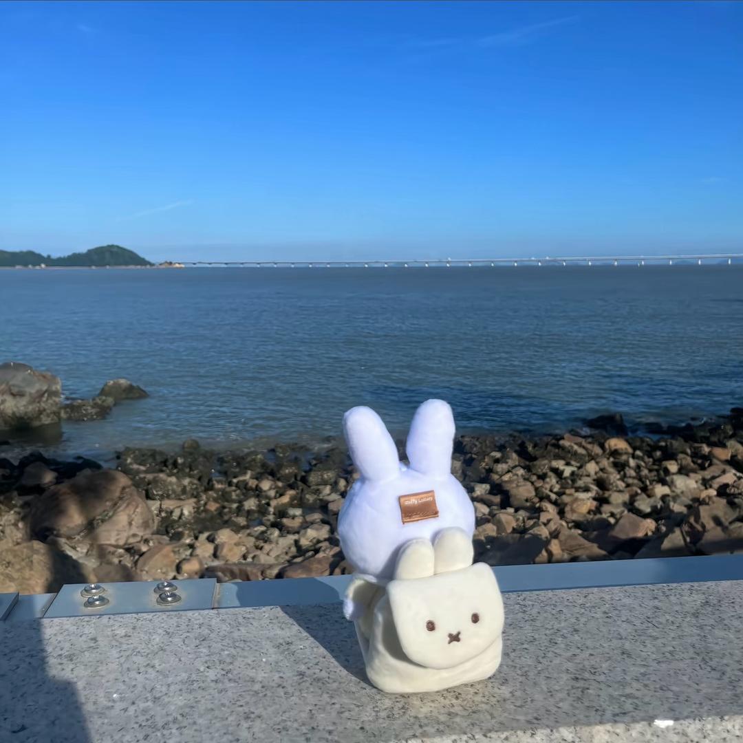 小雨转晴☀️