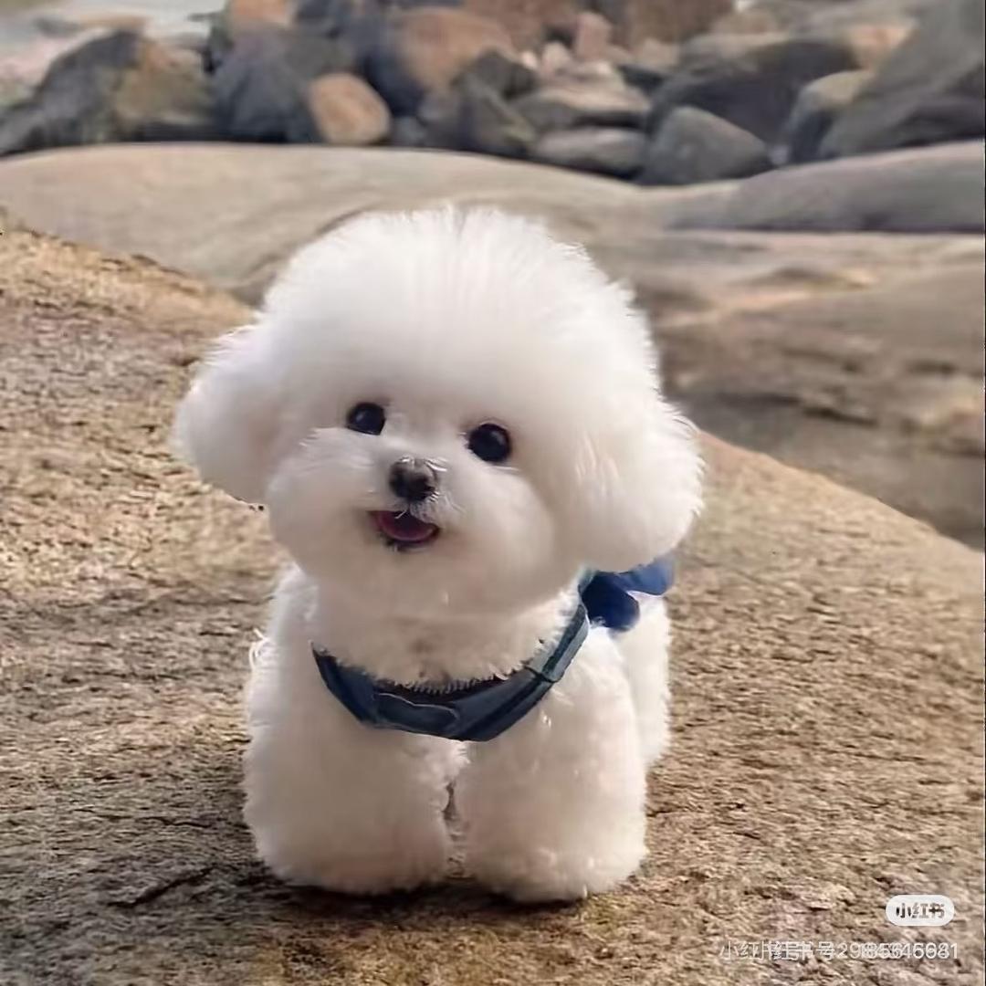 加油，宝贝