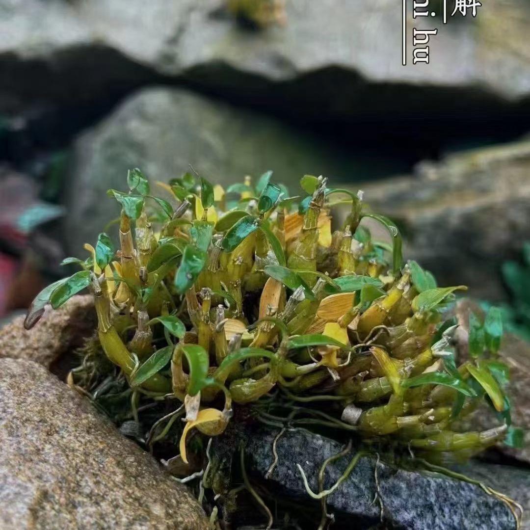 蓝色天空