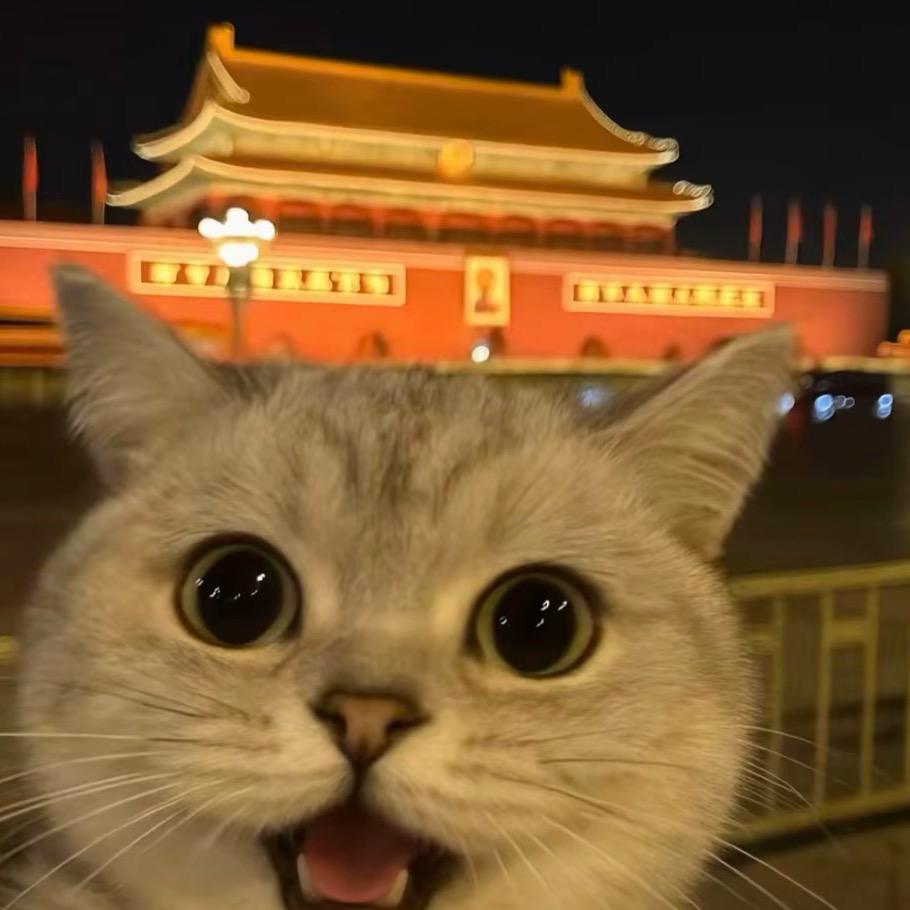 苏夕