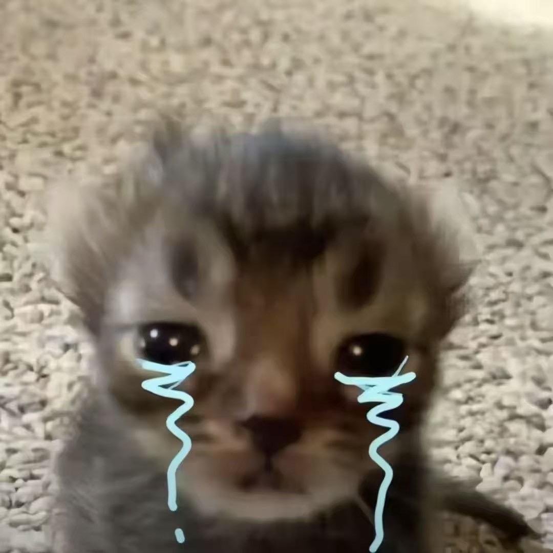 我一直在哭