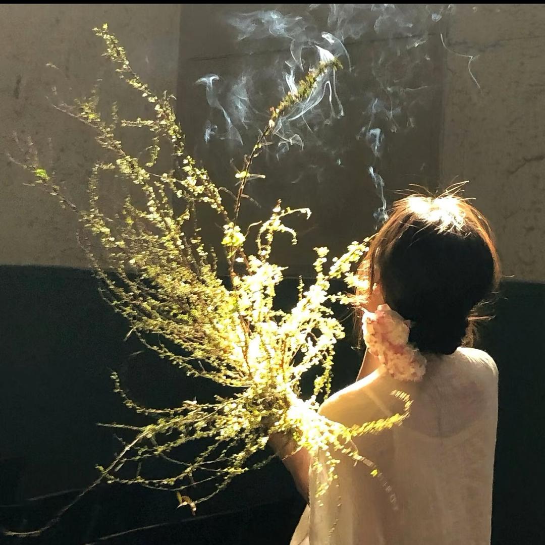 小小羊🐑