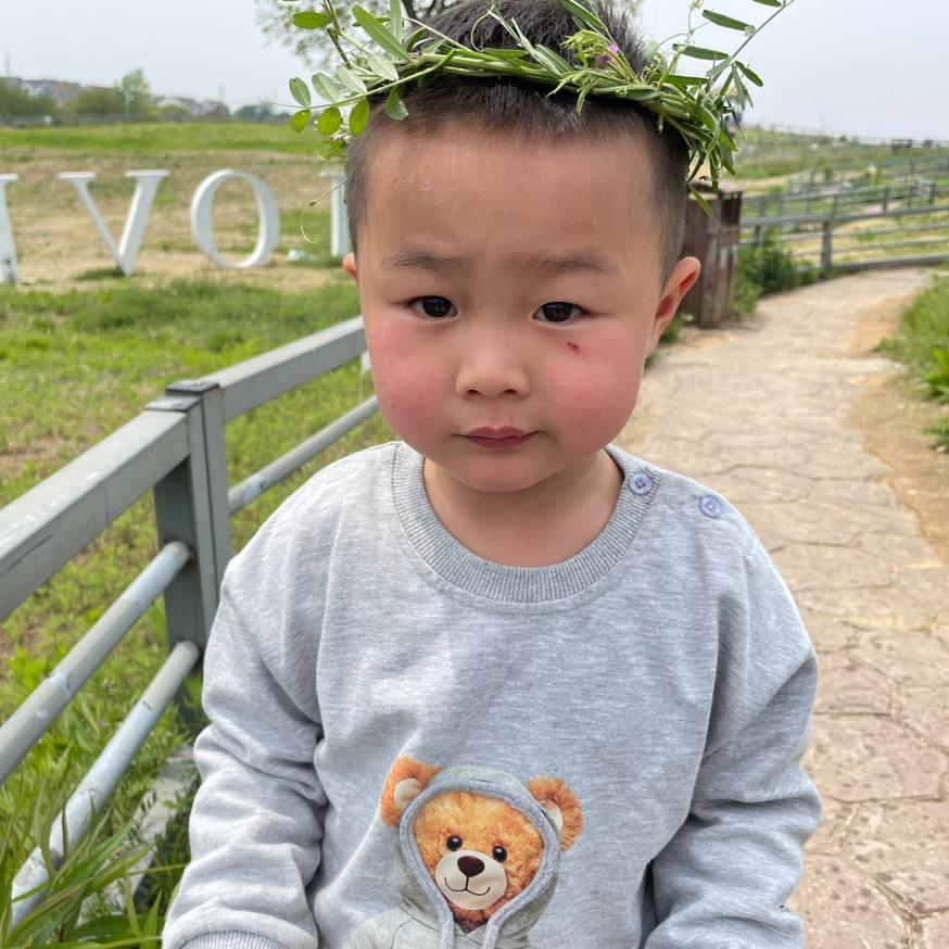 是嘤嘤嘤呀🐽