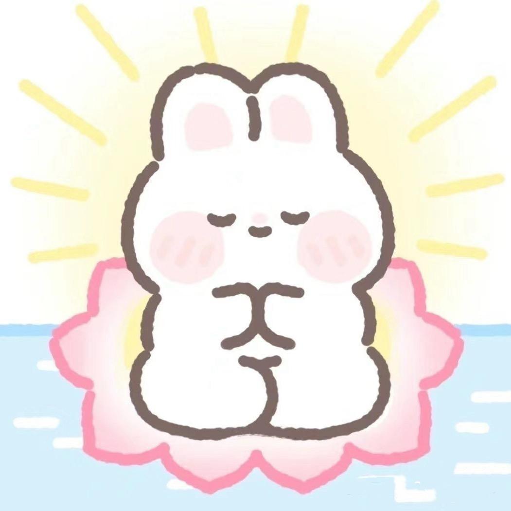 元宝🐰