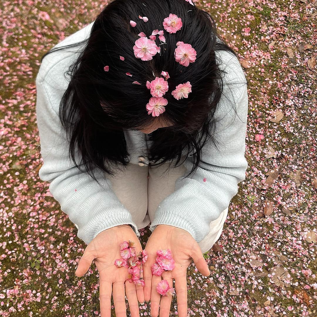 把香菜种满地球🪴