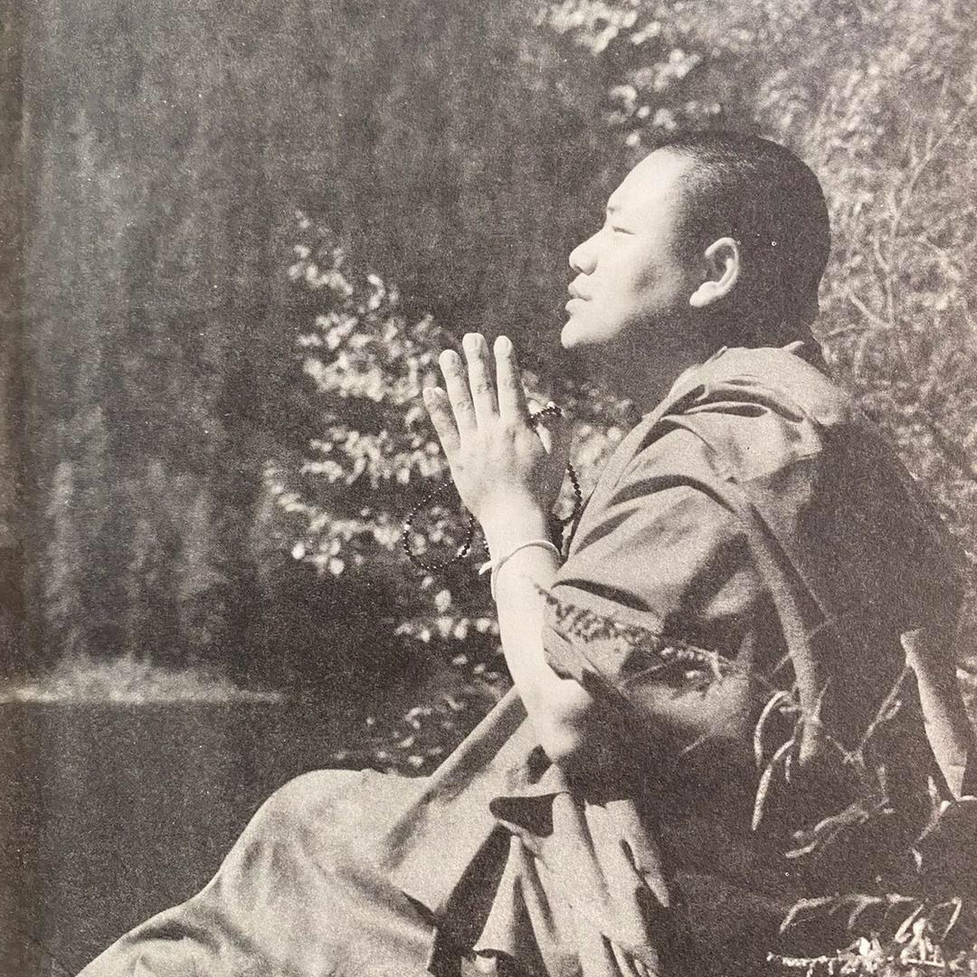 卯兔