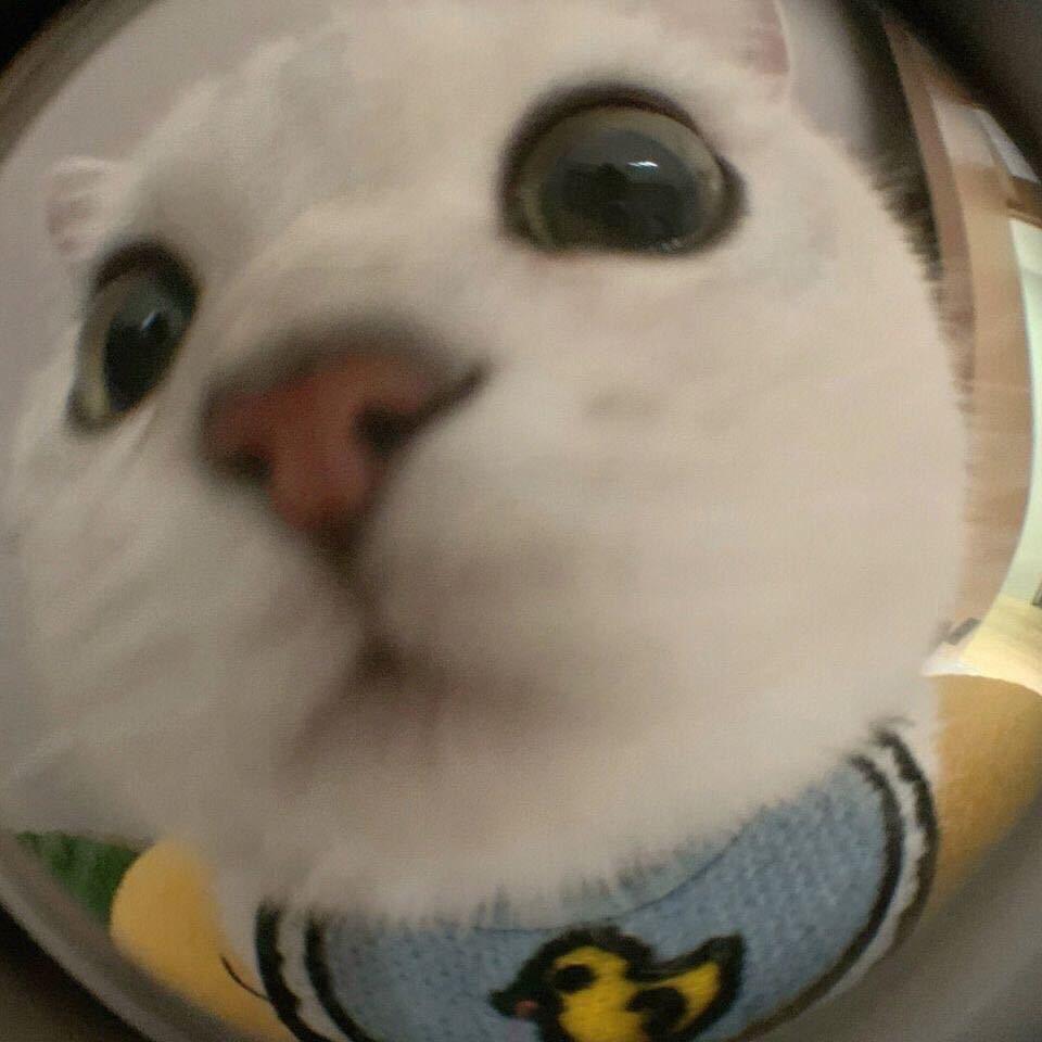 一只驼好物分享