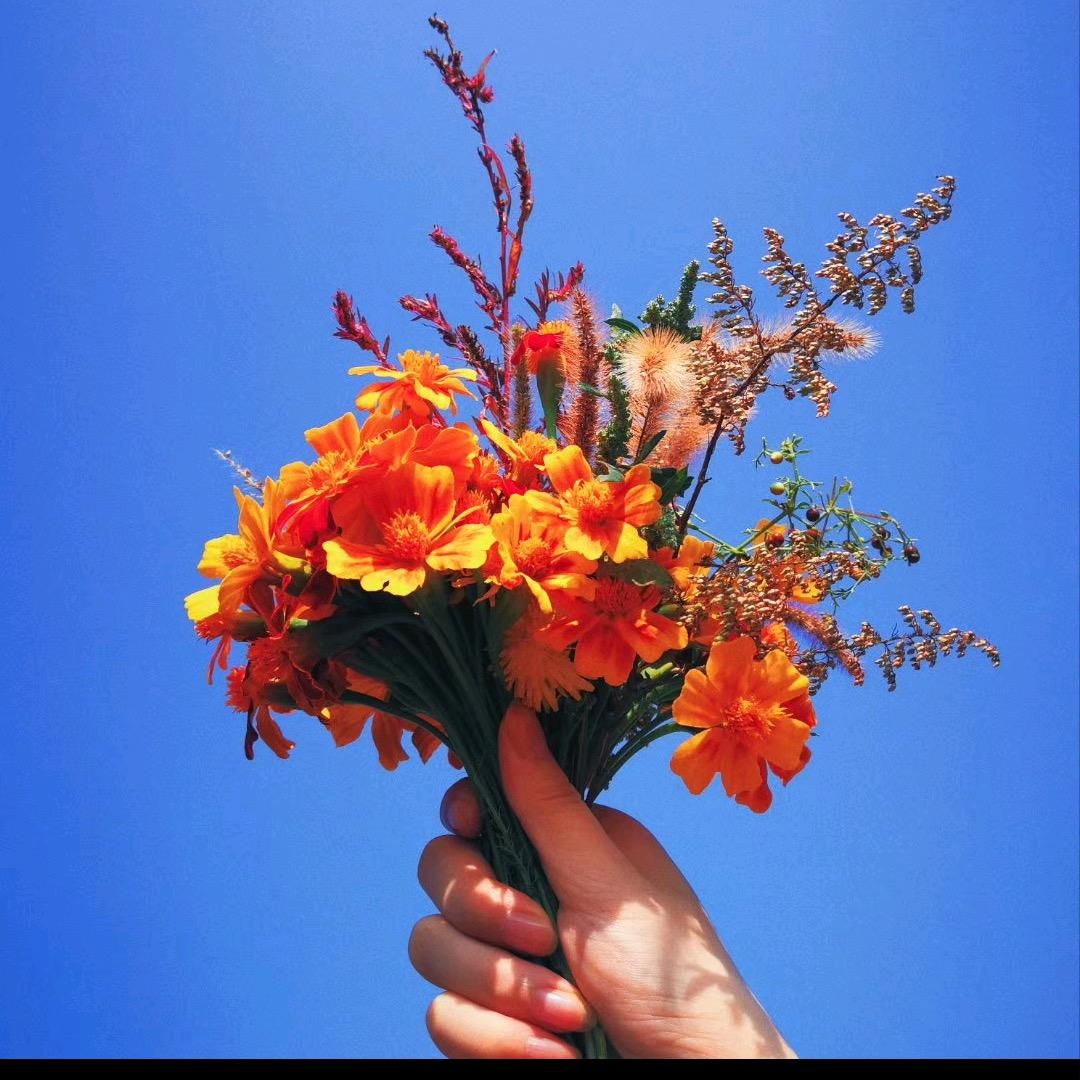 M🧚‍♀️