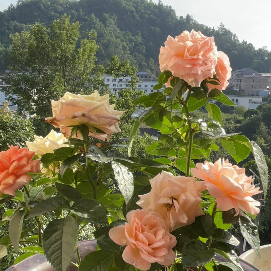 学历不够 能力来凑