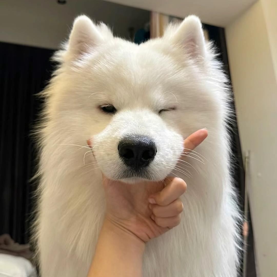 冰儿-
