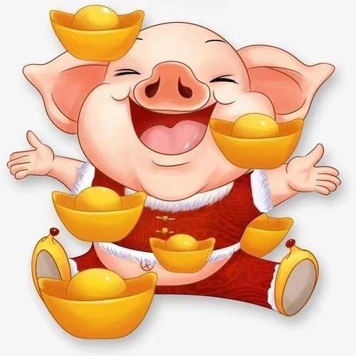 朱金宝🤗锦轩锂电BMS