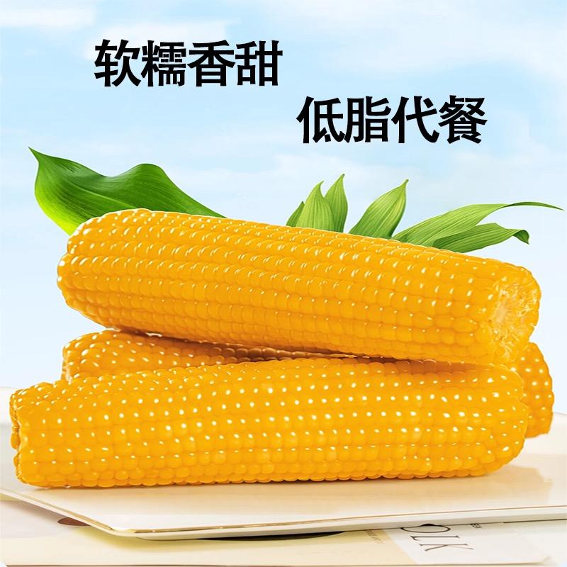 昕冻糯玉米