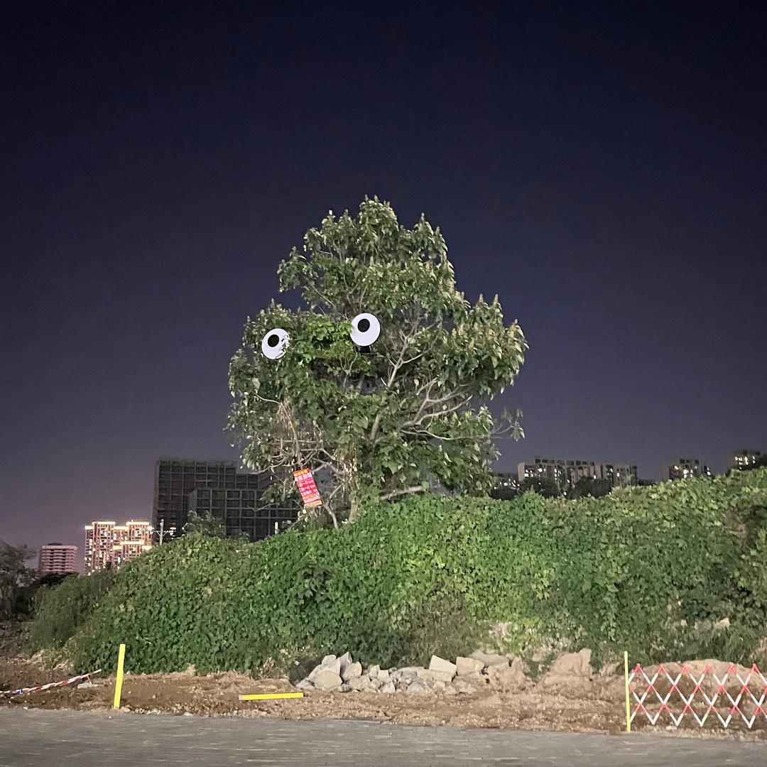所见良人