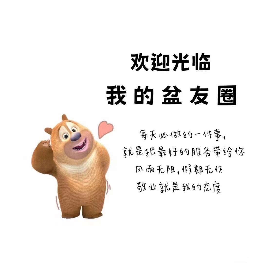 童心婴幼板桥小区店
