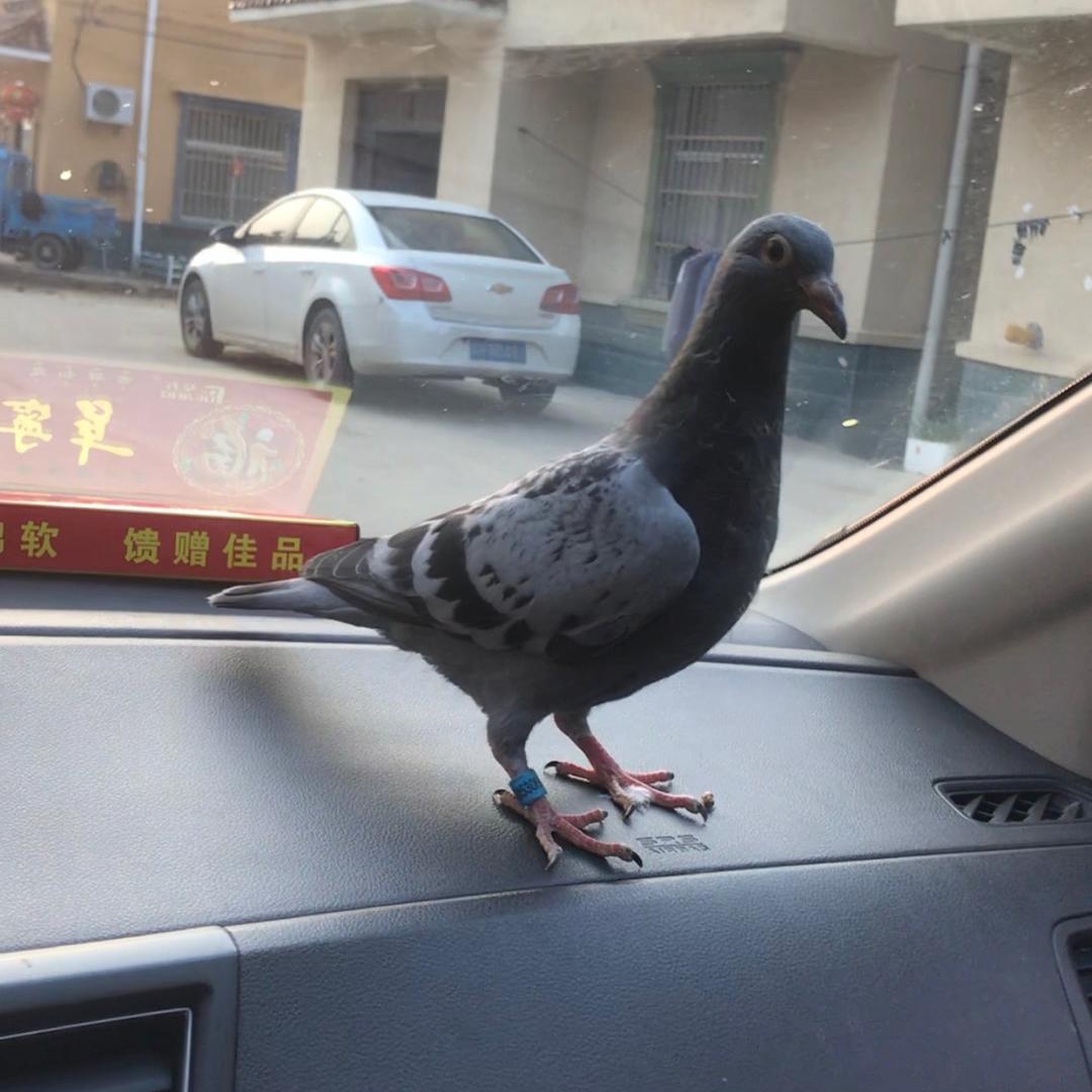 人静则安、时来运转