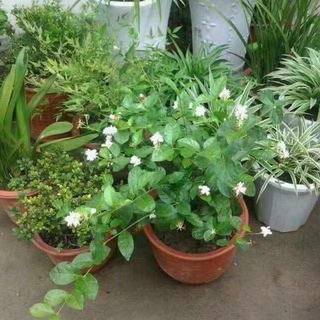要对自己负责