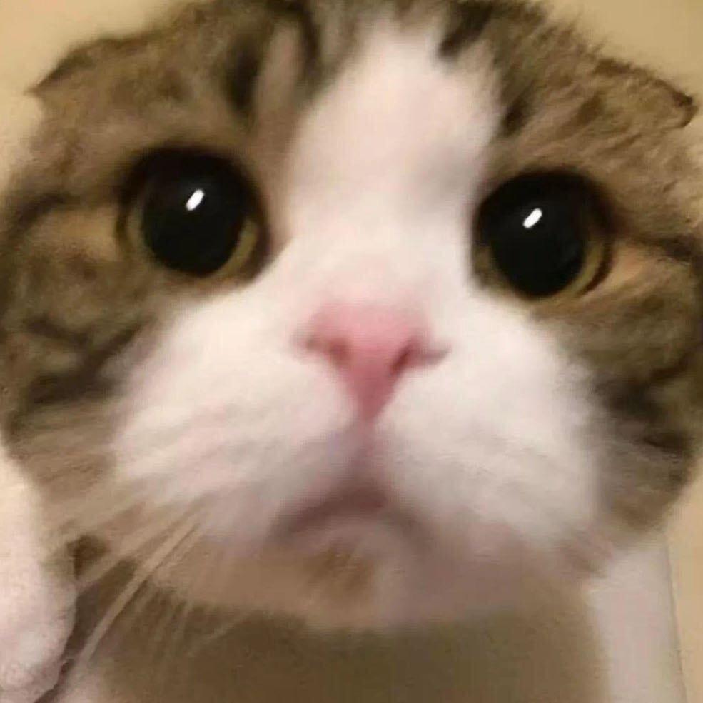 没有名字行不行