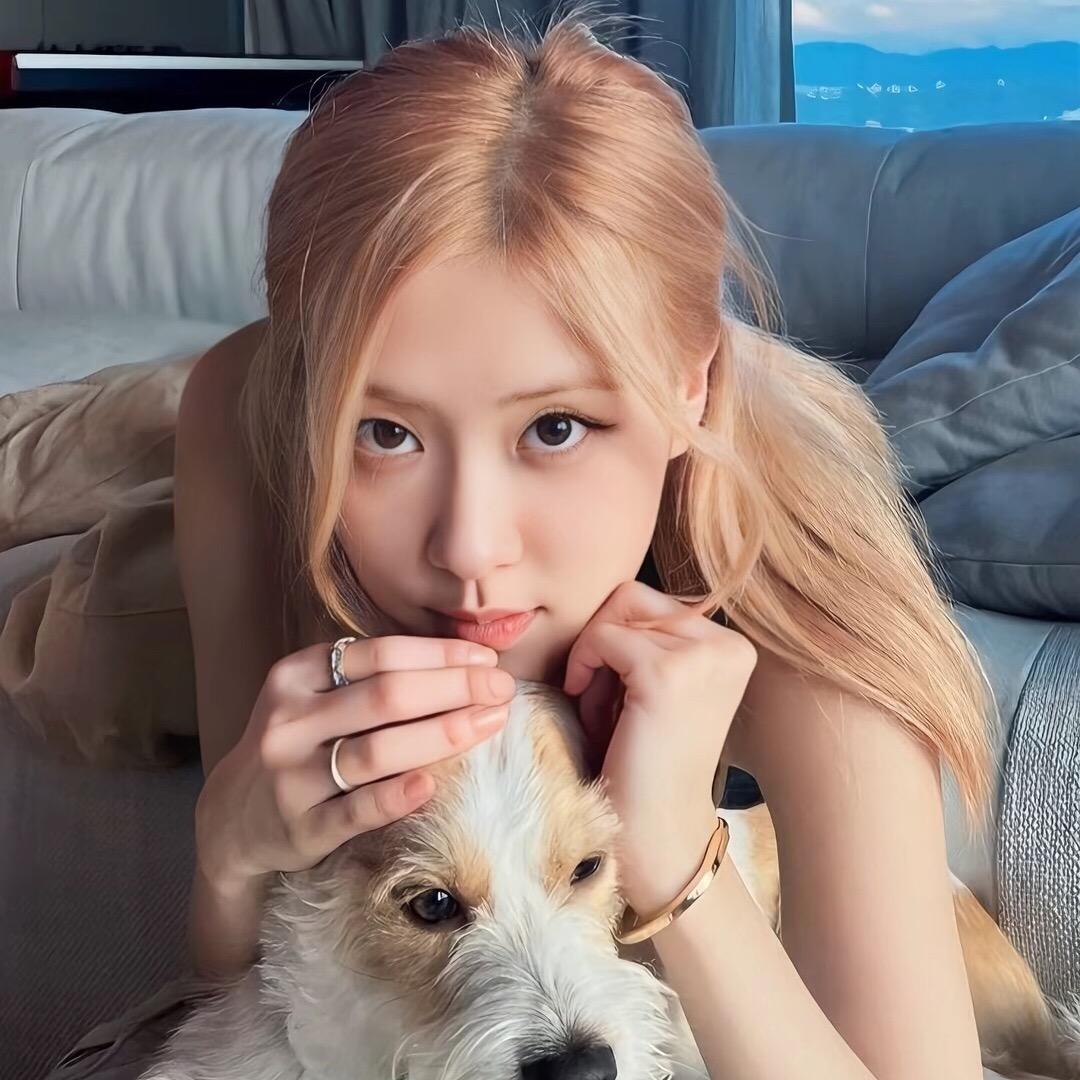 喵酱^🐾