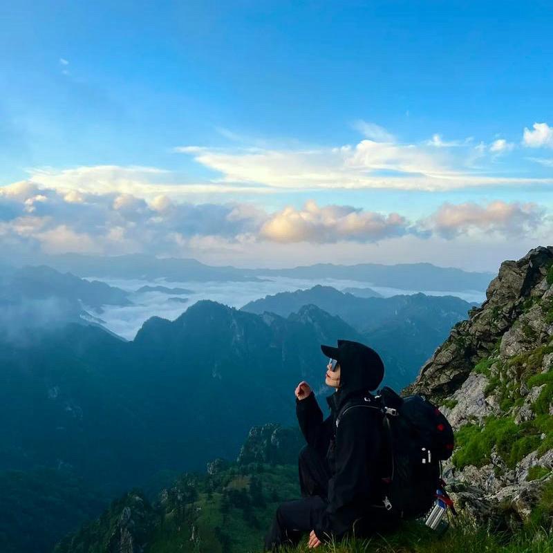 一宁轻奢直播号