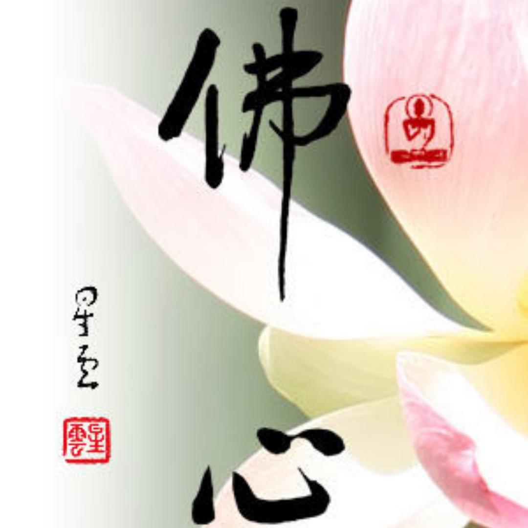 佛心❤️
